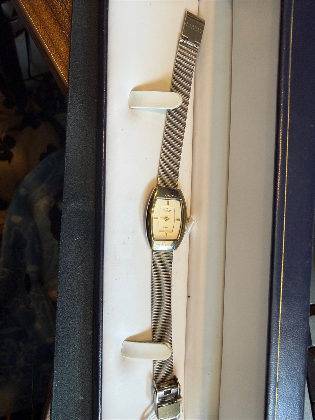 Skagen Stainless Steel Band Watch